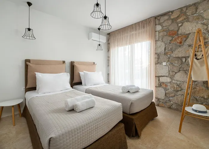 Drakos Estate - Luxury Pool 别墅 *